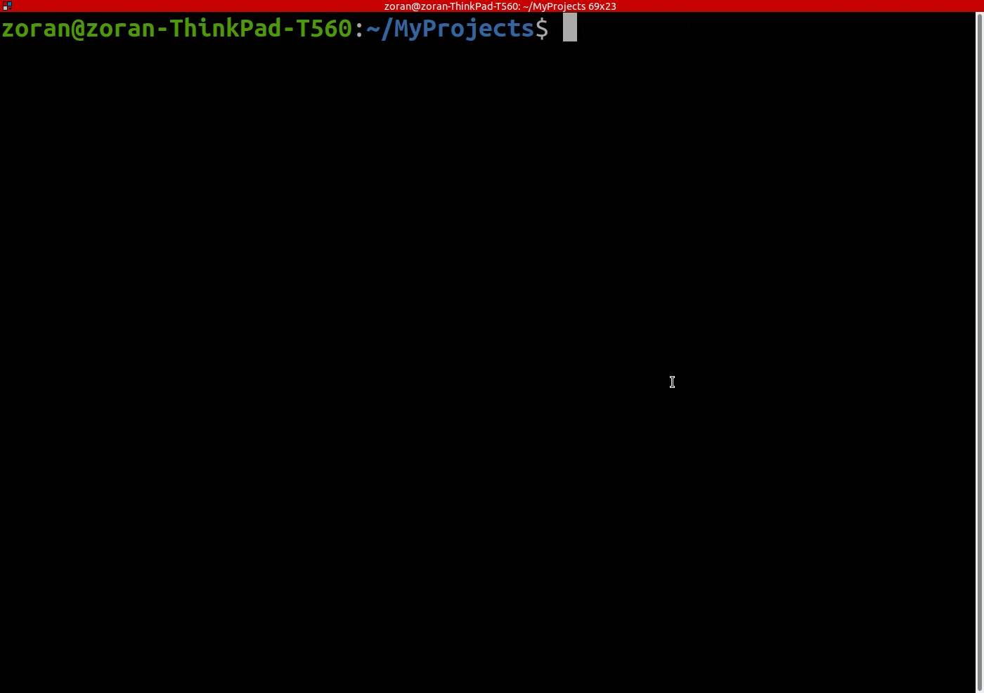 Docker run